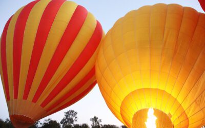 10 Best Activities For Your Next Gold Coast Trip