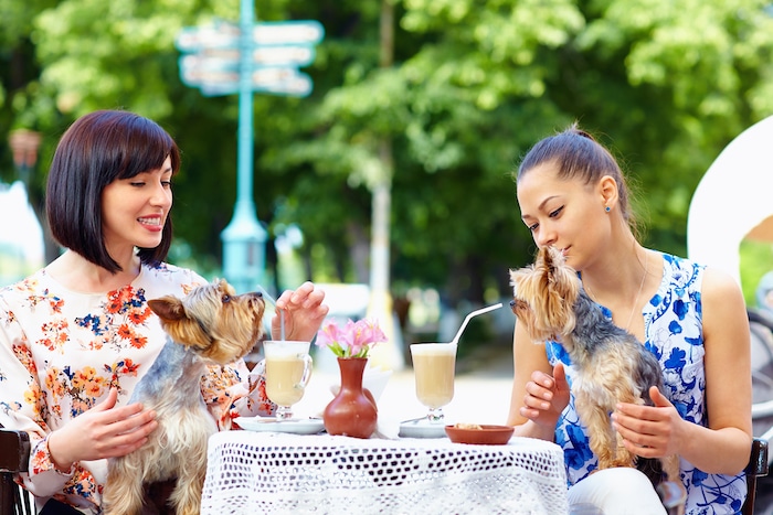 6 Best Dog-Friendly Restaurants on the Gold Coast