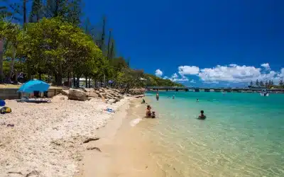 Can Children Swim Paradise Point Gold Coast?