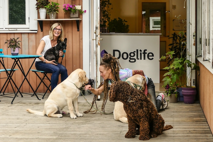 can-you-take-dogs-to-pacific-fair-shopping-centre-broadbeach