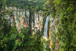 Purlingbrook falls in the Gold Coast Hinterland, Australia