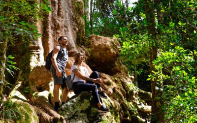 How Do I Find The Best And Cheapest Tours On The Gold Coast?