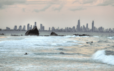 Where Can Newbie Beginners Surf on the Gold Coast