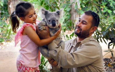 Is Currumbin Worth Visiting?