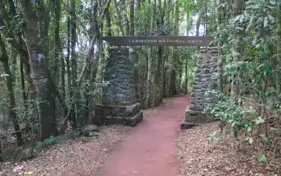 What are the Best Spots for a Scenic Drive on the Gold Coast?