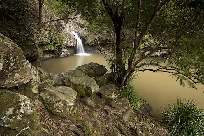 What Is the Fastest Growing Suburb in Gold Coast?