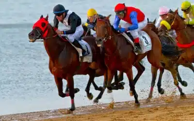 Magic Millions Barrier Draw brings Horses to Surfers Paradise Beach