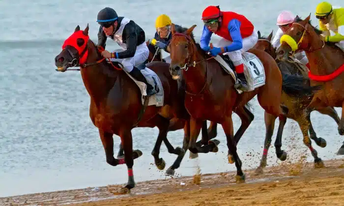 Magic Millions Barrier Draw brings Horses to Surfers Paradise Beach
