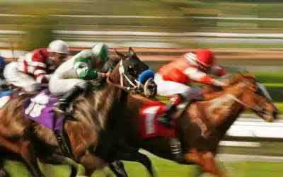 Three-Day Streak of Record-Breaking Sales at Magic Millions Yearling Sale