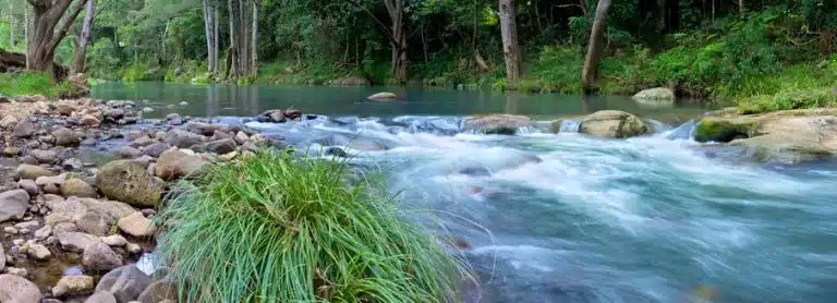 Relaxing Activities In The Gold Coast Hinterland