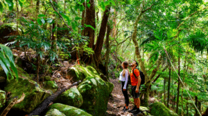 Unveiling the Best Hiking and Nature Trails on the Gold Coast