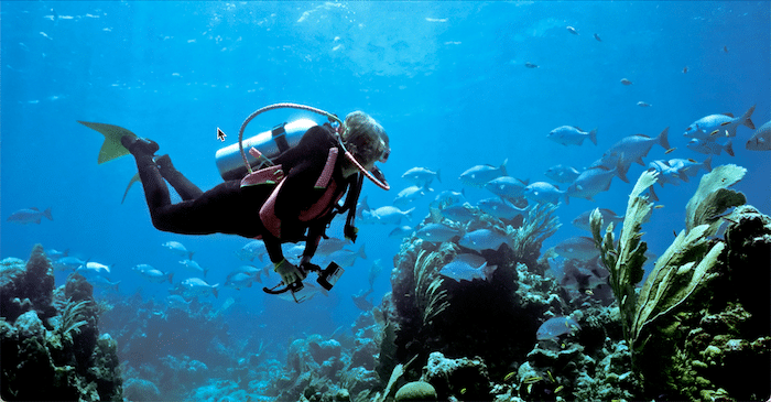 8 Captivating Scuba Diving Spots on the Gold Coast