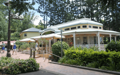 Discovering the Enchanting Allure of Mudgeeraba