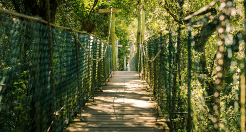 Family-Friendly Adventures in Gold Coast Hinterland