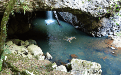 Gold Coast’s Ultimate Waterfall Swimming Spots