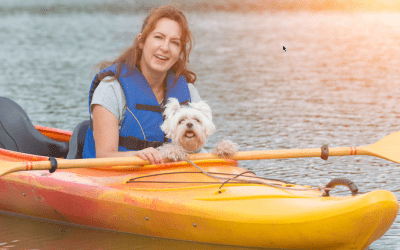 Kayaking on the Gold Coast: Paddling Paradise Down Under