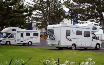 Dog-Friendly Caravan Parks on the Gold Coast