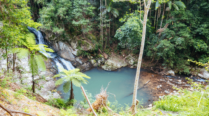 Must-Try Summer Experiences on the Gold Coast