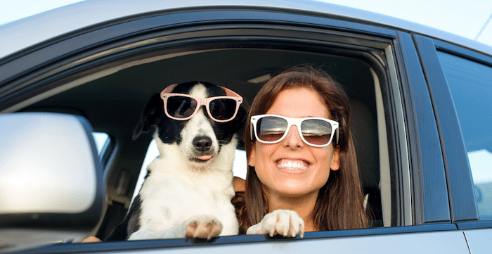 Top Picks for a Relaxing Sunday Drive Adventure from the Gold Coast
