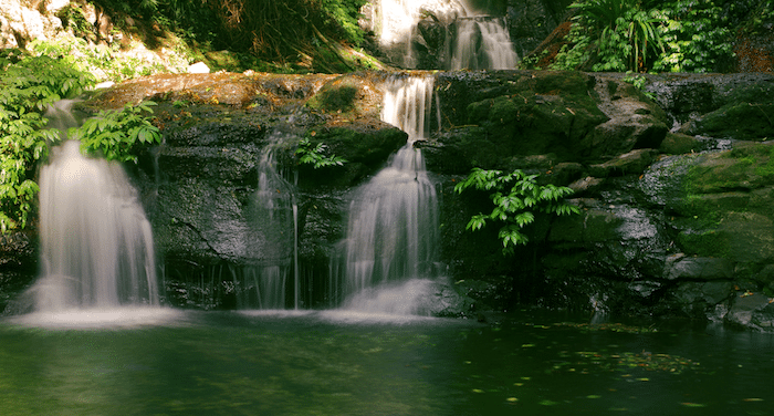 Serene Gold Coast Activities: Finding Peace in Paradise