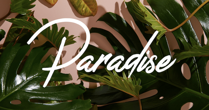 A Complete Day and Night Itinerary for Paradise Country