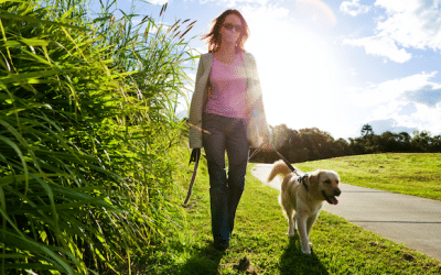 Best Coastal Walks on the Gold Coast