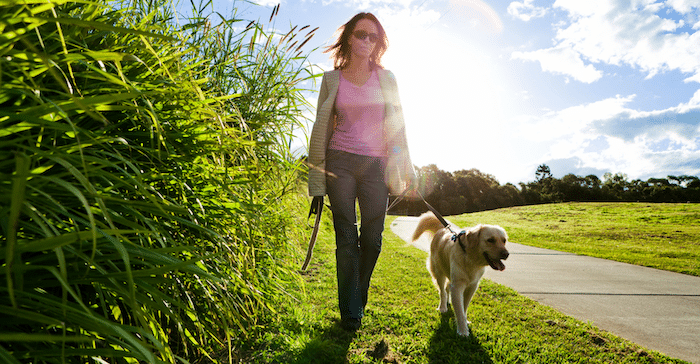 Best Coastal Walks on the Gold Coast